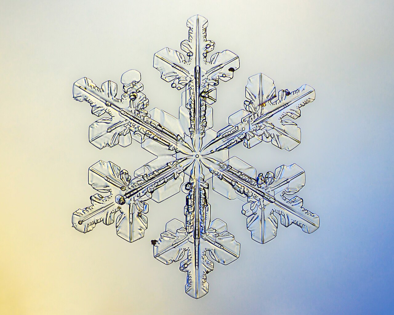 Close-up macro photograph of ice crystals forming on a surface