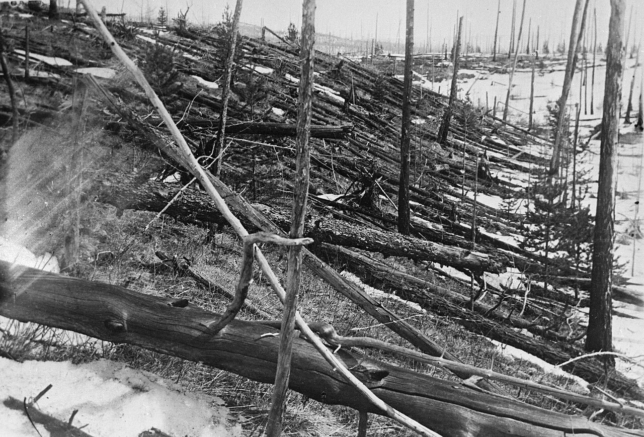 Aerial view of fallen trees in a Siberian forest, showing the Tunguska blast pattern